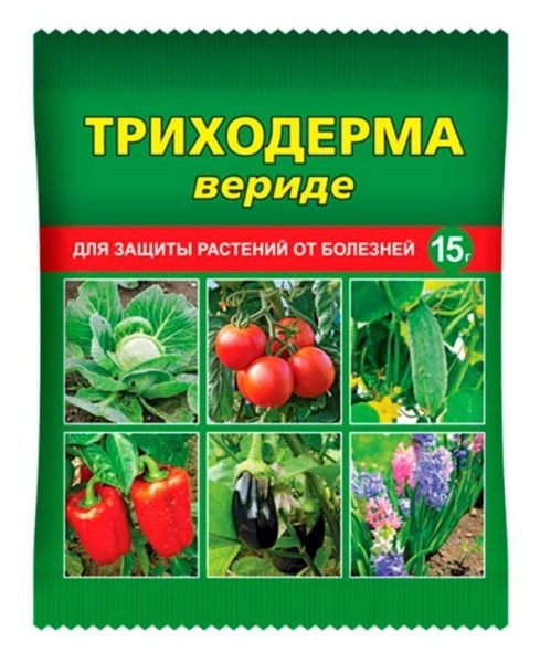 Сколько нижних листьев можно удалить у томатов без вреда для растения? - ответы экспертов ezone-perm.ru