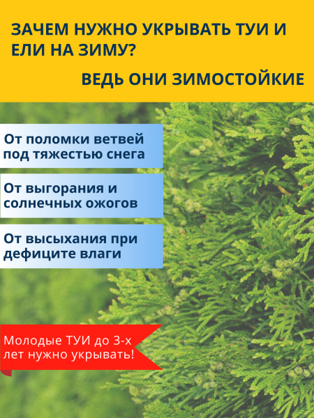 Зимнее укрытие с УФ с завязками и колышками для туй 42 г/м2, 155х 350 см, 3 шт Зимнее укрытие с УФ с завязками и колышками для туй 42 г/м2, 155х 350 см, 3 шт
