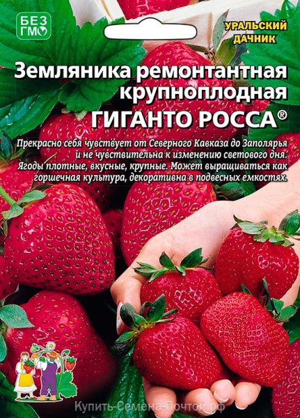 Семена Земляника ремонтантная Гиганто Росса Уральский Дачник
