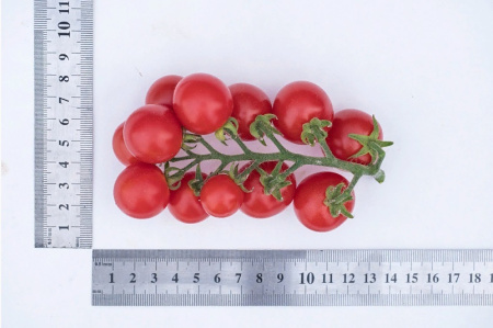 Семена Томат Черри Каменный Цветок F1 5 шт Партнер