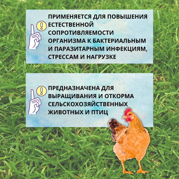 Кормовая добавка Биовит-80 10%, 5 шт по 450 г