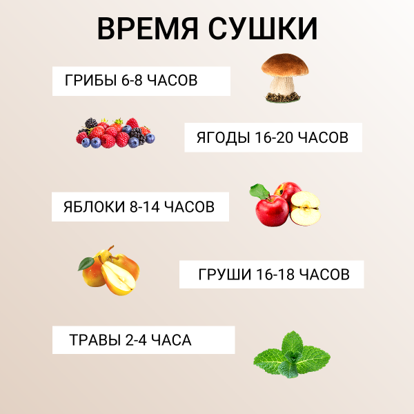 Сушилка для овощей и фруктов Самобранка 50/50 с терморегулятором, 2 шт