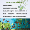 Антибородин средство против водорослей в аквариуме 1 л