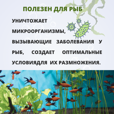 Антибородин средство против водорослей в аквариуме 1 л