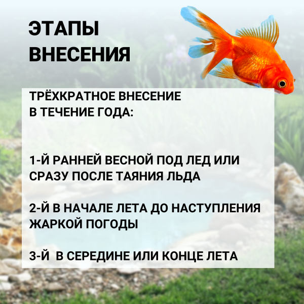 Живая водоросль для биологической очистки пруда Chlorella Pond 1 л