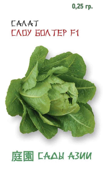 Семена Салат Латук Слоу Болтер Сады Азии