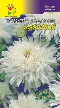 Семена Хризантема Многолетняя Махровая БЕЛАЯ Цветущий сад
