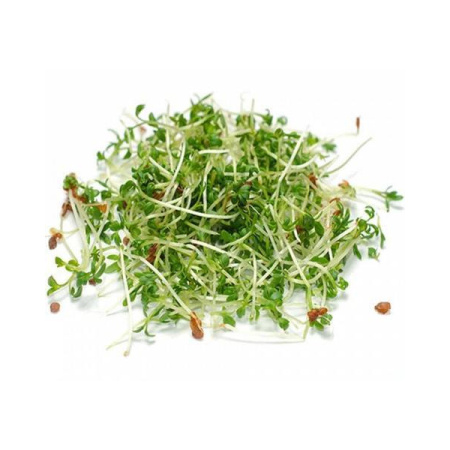 Микрозелень Кресс-салат 75 г