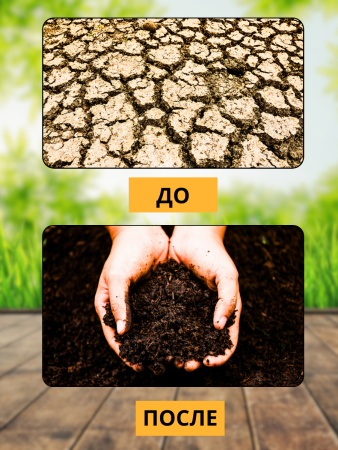 Почвоулучшитель Reasil для восстановления плодородия почв 1 кг