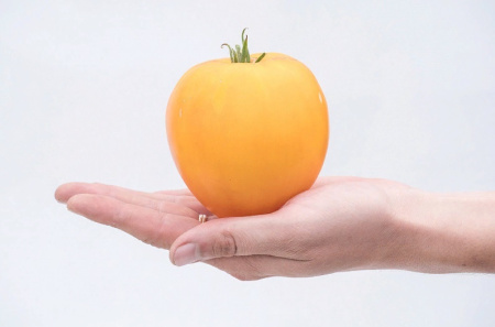 Семена Томат Желтая Империя F1 10 шт Партнер