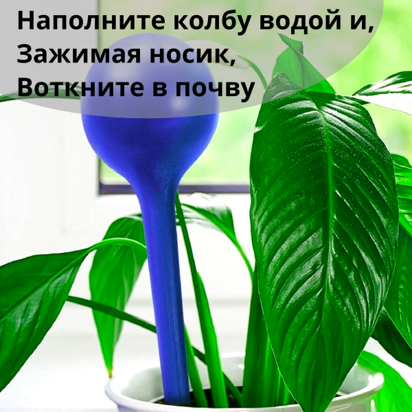 Автополив для цветов набор 6 штук Автополив для цветов набор 6 штук