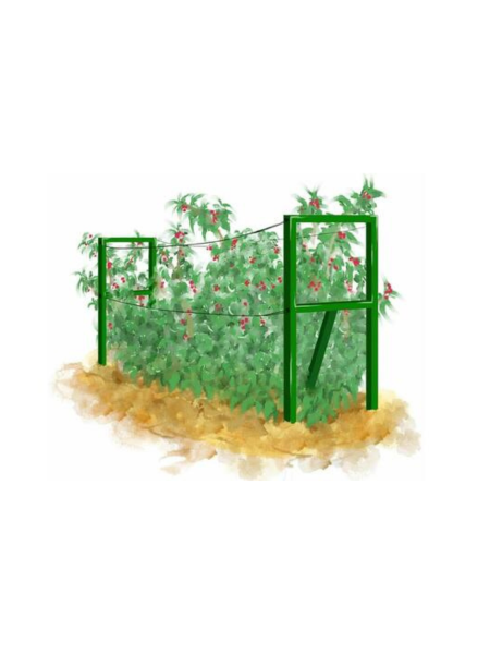 Опора для малины разборная Зеленая 150*50*2 см комплект из 2 шт PEKGDSM МС-Про