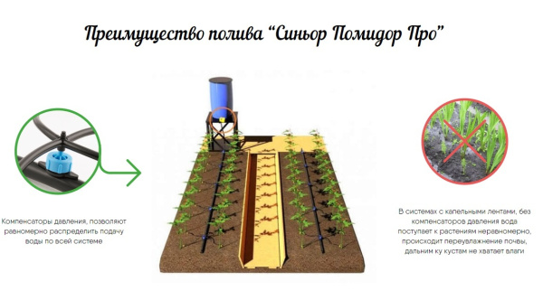 Комплект Синьор Помидор PRO с таймером 8 программ