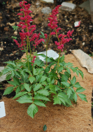 Укрывной материал мульча кокосовая 0,2 х 1,5 м