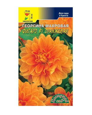 Семена Георгина Фигаро F1 Оранжевая махровая Цветущий сад