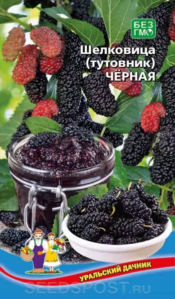 Семена Шелковица (тутовник) Чёрная Уральский дачник Е/П