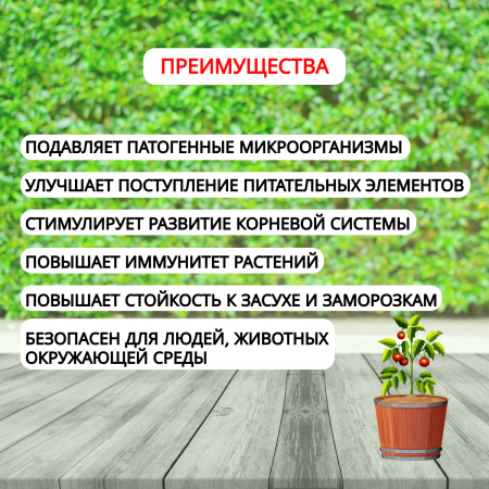 Биофунгицид Триходермин ТН82 для защиты растений от грибных и бактериальных болезней 1 кг