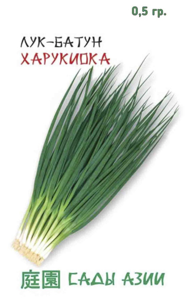 Семена Лук Батун Харукиока 0,5 гр Сады Азии