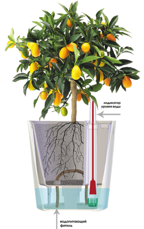 Горшок с автополивом Комфорт 3,5 л ПИ-25-13ТХ d-16 h-17 см Какао