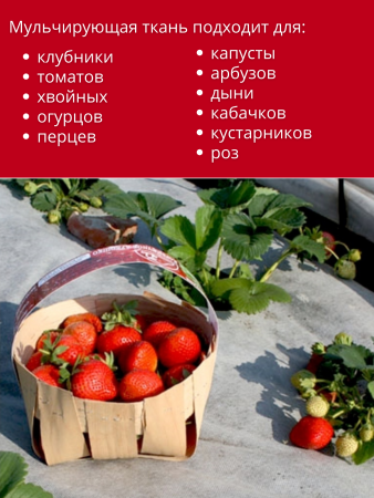 Укрывной материал Грядка в порядке для клубники и овощей с УФ стабилизатором бело-чёрный мульчирующий 80 г/м2, 1,6 х 5 м Благодатное Земледелие