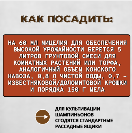 Мицелий грибов Шампиньон белый на субстрате 60 мл, набор 10шт