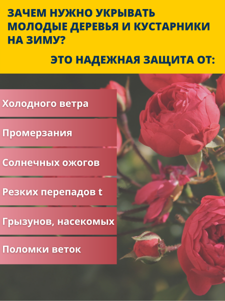 Зимнее укрытие с УФ Рукав для растений 60 г/м2, 80 х 150 см, 3 шт Зимнее укрытие с УФ Рукав для растений 60 г/м2, 80 х 150 см, 3 шт