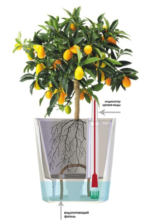 Горшок с автополивом Комфорт 2,5 л ПИ-24-9ТХ d-18 h-17 см Белый