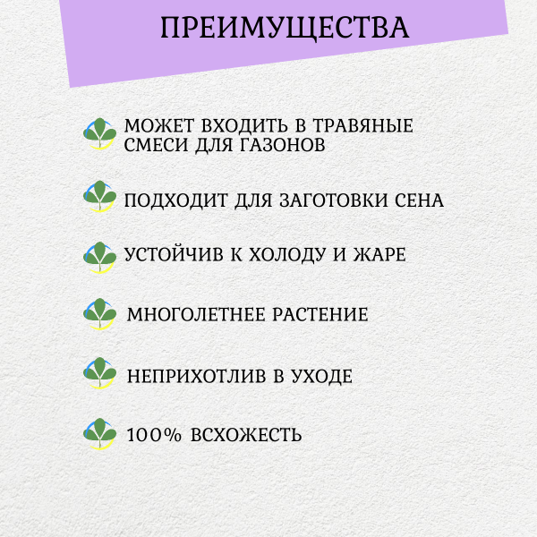 Сидерат Мятлик Луговой 250 г