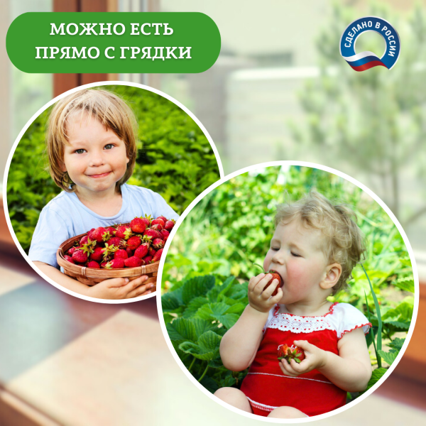 Подставка опора Рогатка для растений и клубники h 24 см, 40 шт Благодатное земледелие