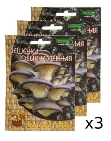 Мицелий грибов Вешенка обыкновенная на деревянных палочках 12 шт, 3 шт