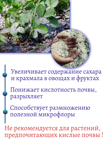 Зола подсолнечника 2 л, 2 шт