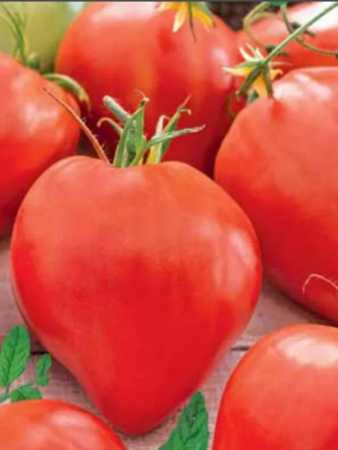 Семена Томат Бычье сердце гигант 20 шт Сибирский сад, 2 шт