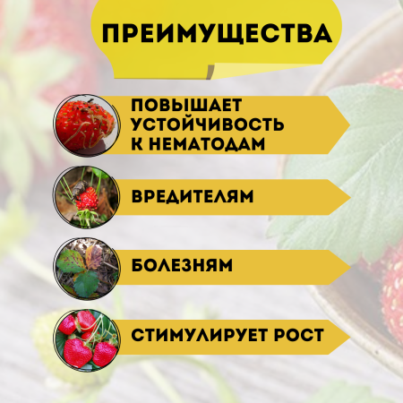 Удобрение Микорад NEMATO 3.1 Пециломикоз от нематоды стимулятор роста растений 50 г, 2 шт