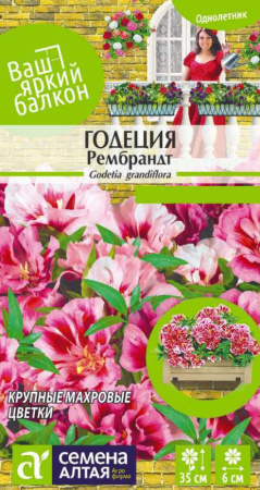 Семена Годеция Рембрандт Семена Алтая  0,2 гр