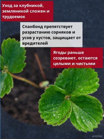 Укрывной материал Грядка в порядке с УФ стабилизатором чёрный мульчирующий перфорированный 60 г/м2, 1,6 х 10 м Благодатное Земледелие