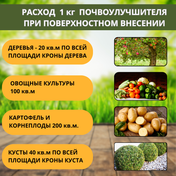 Почвоулучшитель Reasil для восстановления плодородия почв 3 кг