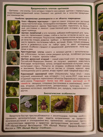 Белый Жемчуг СтопКлоп 1 л