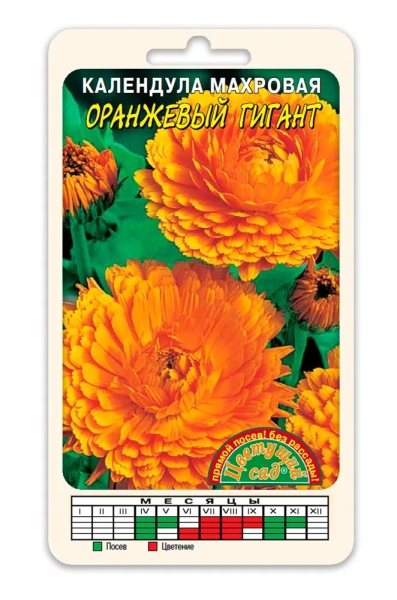 Семена Календула махровая Оранжевый гигант Цветущий сад