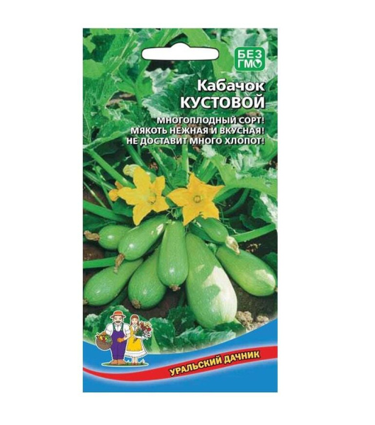 Семена Кабачок Кустовой Уральский дачник Семена Кабачок Кустовой Уральский дачник