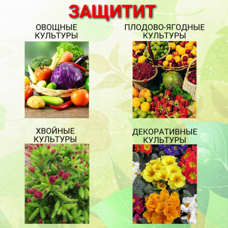 Батрайдер 10 мл