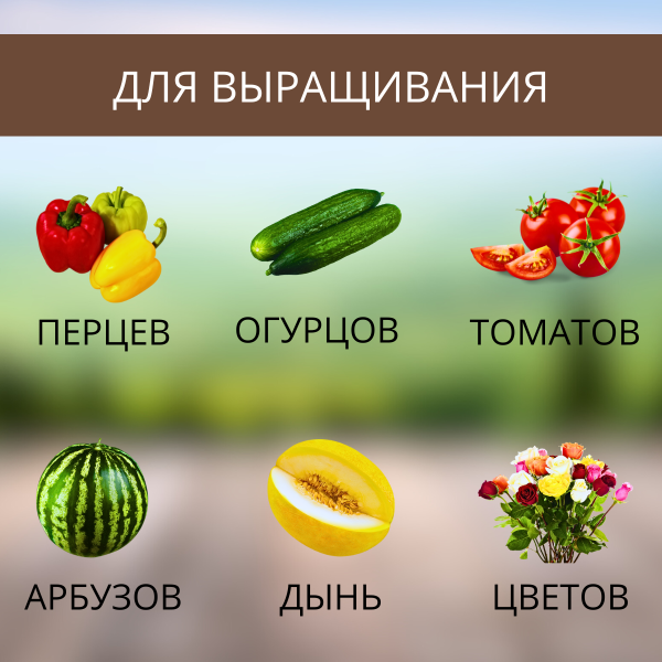 Торфяной горшочек для выращивания рассады 80х80 круглый