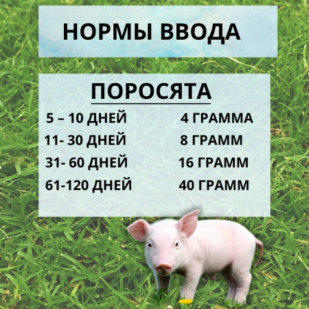 Кормовая добавка Биовит-80 10%, 2 шт по 450 г