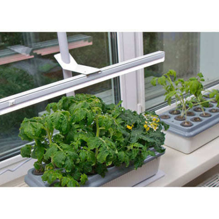 Набор Растущий светильник 16 Вт Здоровья КЛАД