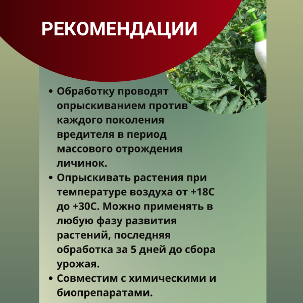 Битоксибациллин биопрепарат для защиты садовых растений от насекомых вредителей 20 г