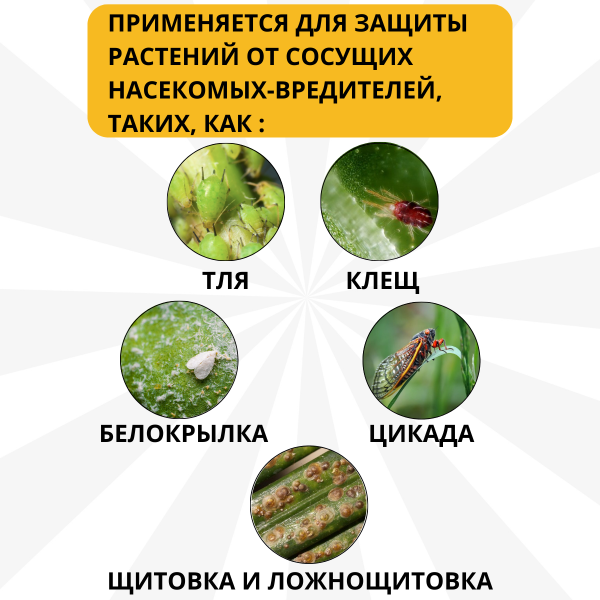 Средство Микорад INSEKTO 1,3 Lecanicillium lecanii для защиты растений от клещей тли белокрылки 50 г