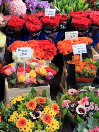 Таблички для растений большие комплект 50 шт