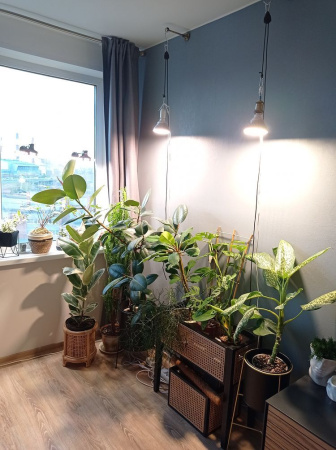 Фитолампа светодиодная Е27 12W Фулл Комфорт