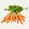 Морковь