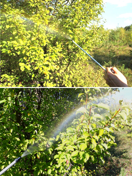 Ремкомплект РК-307 м-2 к опрыскивателю Туман Ремкомплект РК-307 м-2 к опрыскивателю Туман