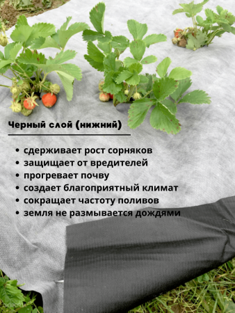 Укрывной материал Грядка в порядке для клубники и овощей с УФ стабилизатором бело-чёрный мульчирующий 80 г/м2, 1,6 х 5 м Благодатное Земледелие